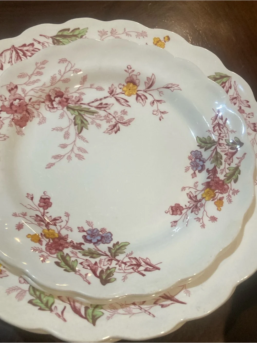 SR Ridgeway Ironstone Staffordshire England “ English Garden 6 piece set
